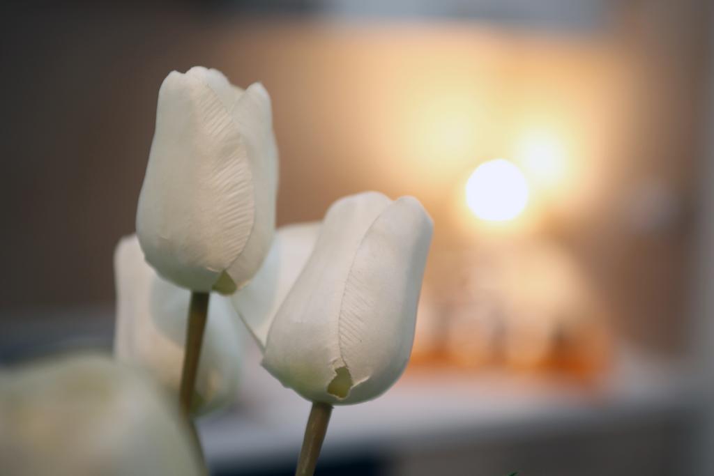 Apartment Corso Cavour บารี ภายนอก รูปภาพ
